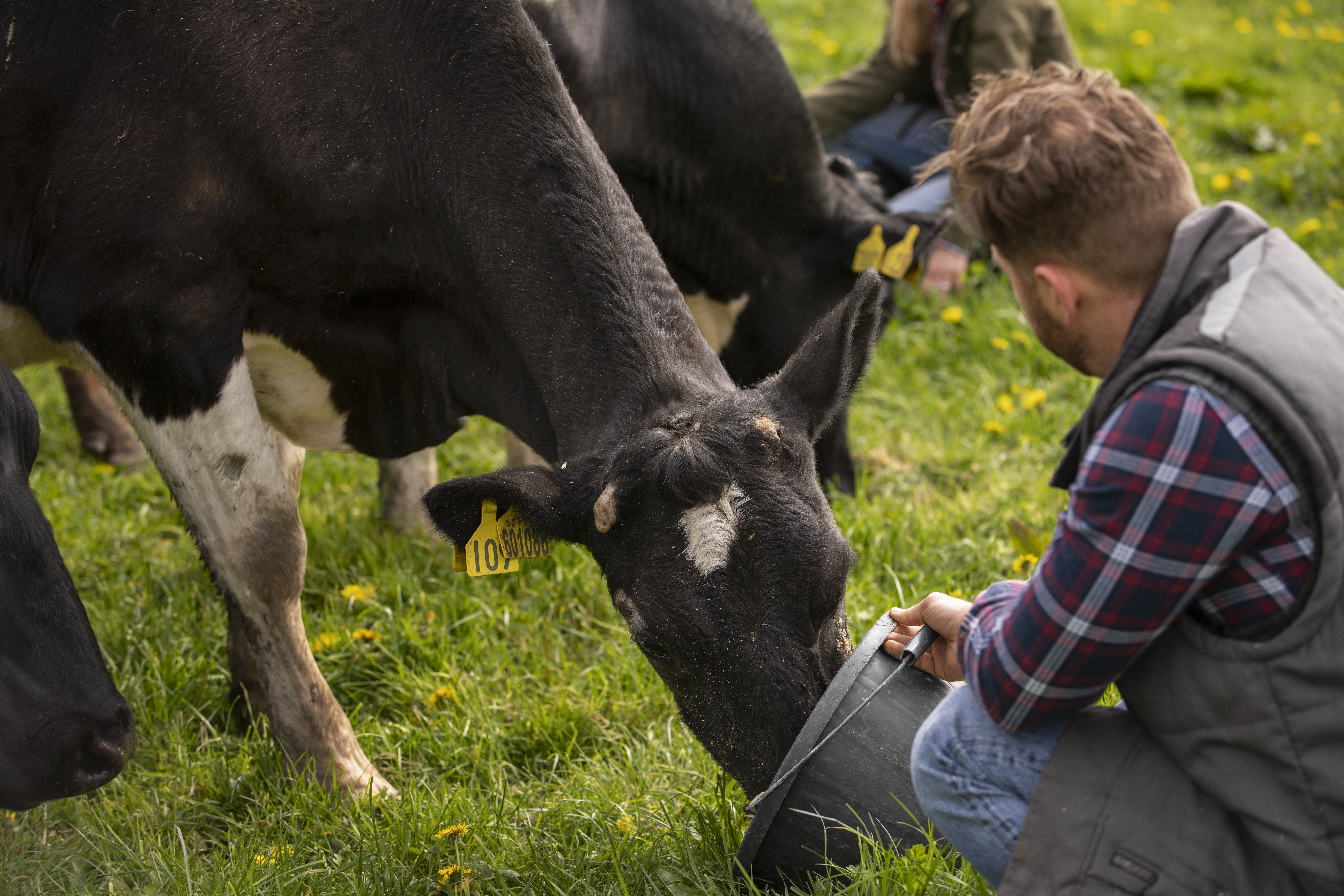 Livestock Health Redefined with Streamlined Operations